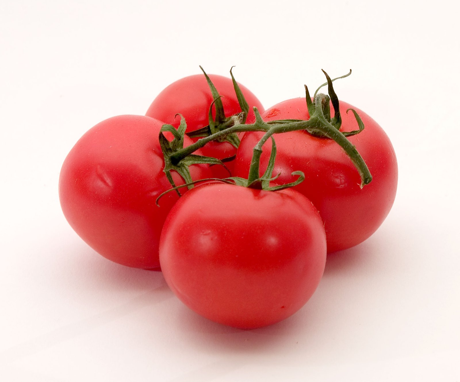 Tomate Chonto Maduro